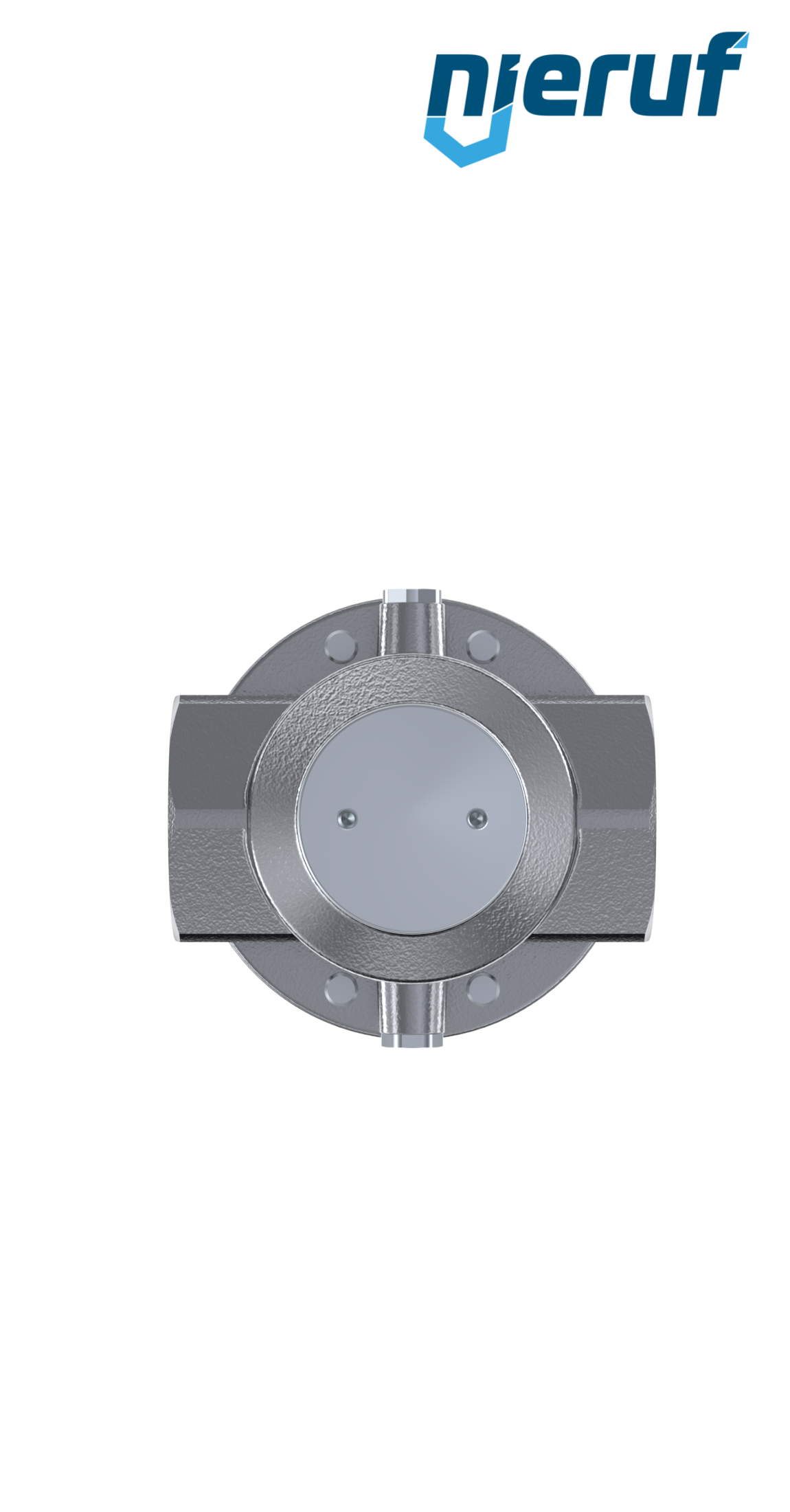 regolatore di pressione di precisione 2" pollici DM15 acciaio inossidabile FKM 10.0 - 50.0 bar
