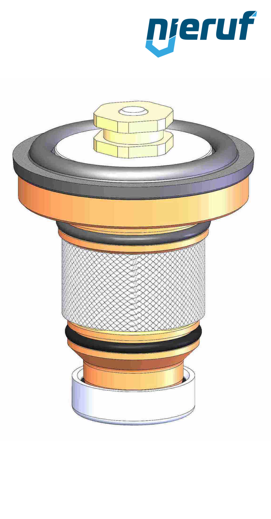 Inserto FKM DM06 DN65 - 2 1/2" pollici per versione 1-8bar