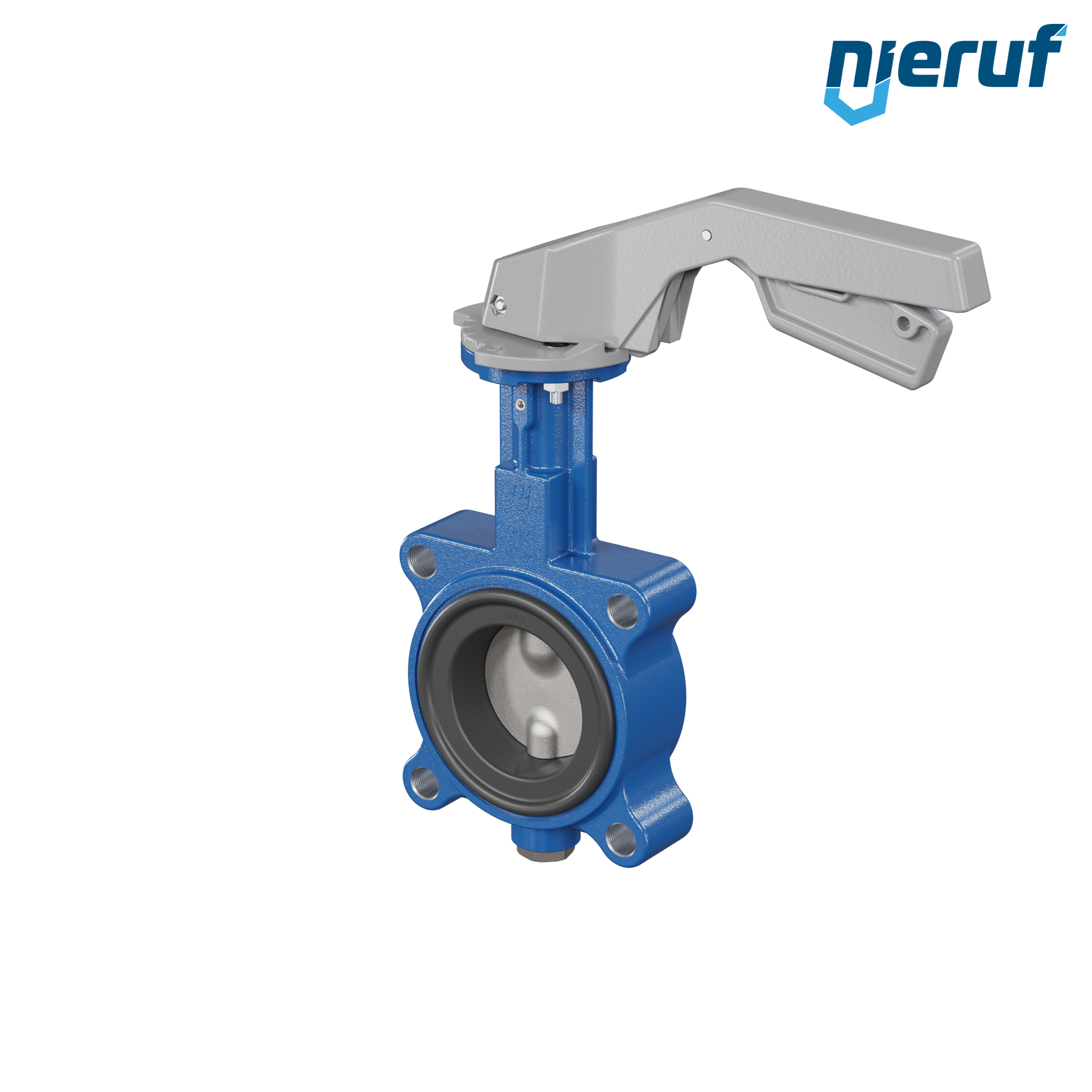 valvola a farfalla AK02 DN 65 PN10-PN16 FPM