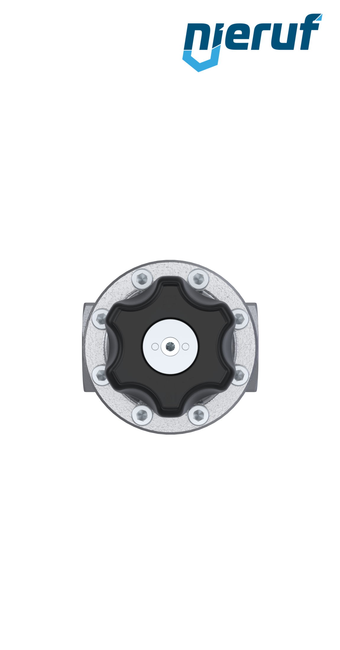 regolatore di pressione di precisione 1 1/2" pollici DM15 acciaio inossidabile EPDM 5.0 - 30.0 bar