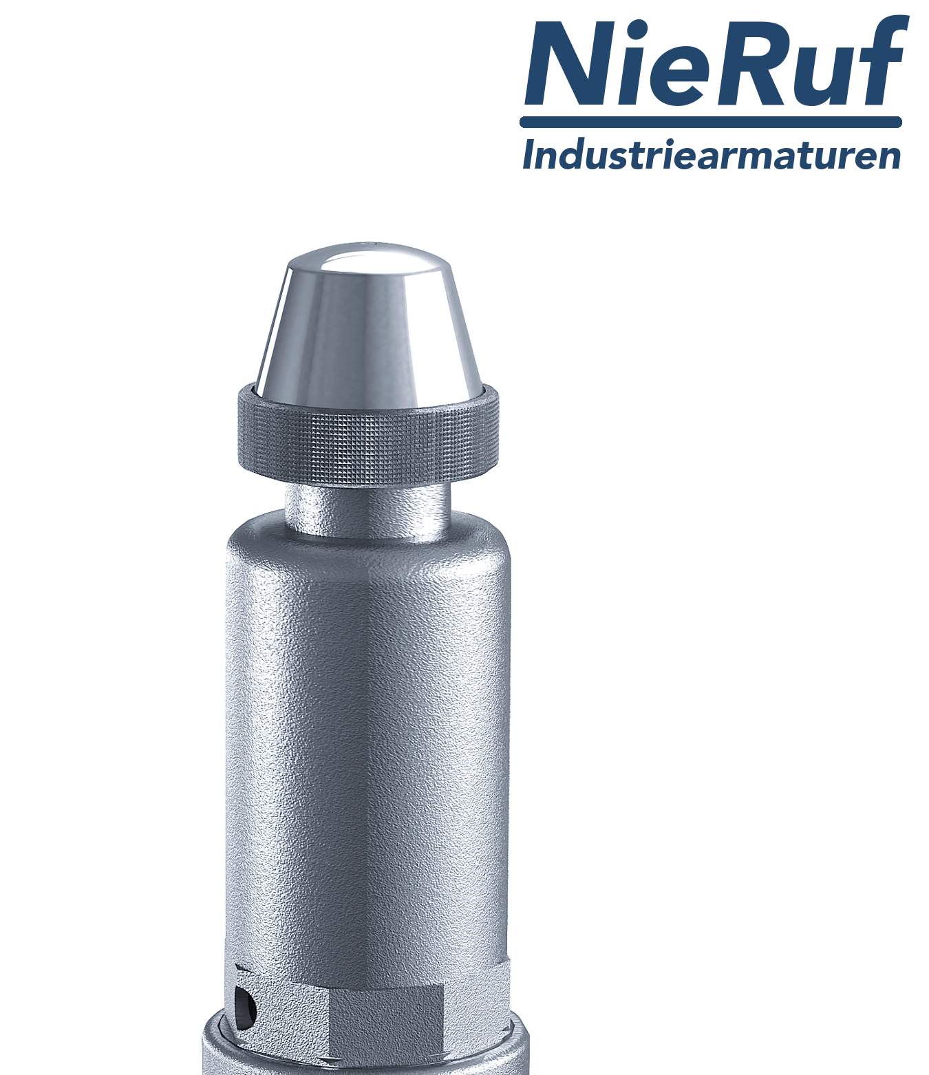 valvola di sicurezza 1/2" x 1" F SV06 fluidi liquidi, acciaio inox NBR