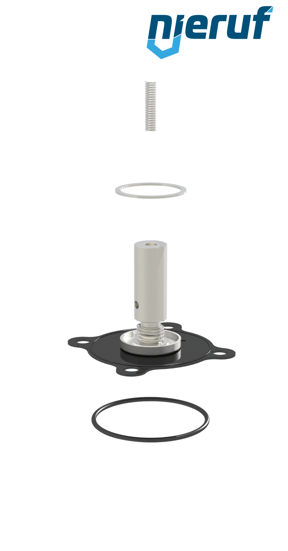 kit di guarnizioni FKM per il modello FV01 DN80