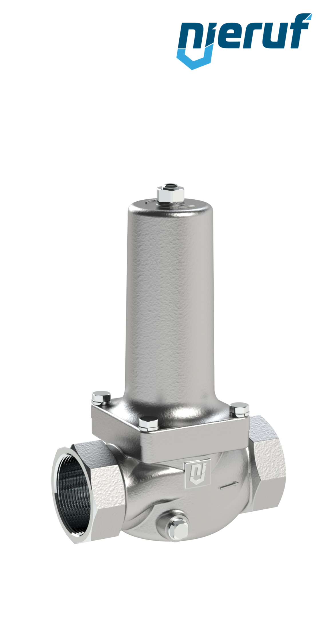 riduttori di pressione 1 1/2" pollici NPT DM21 acciaio inossidabile PTFE / EPDM / FEPM 4.0 - 10.0 bar