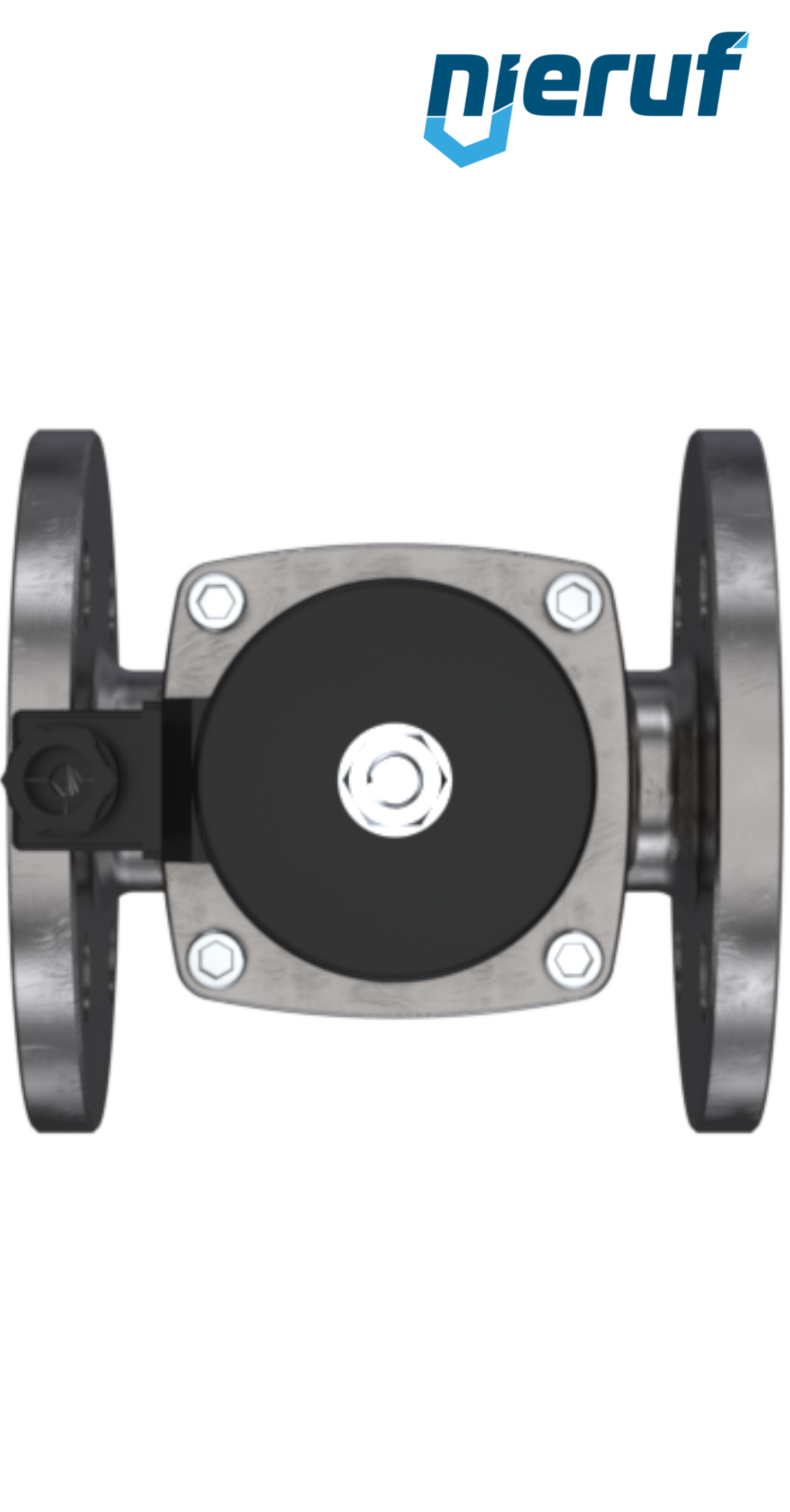 elettrovalvola DN100 acciaio inossidabile FV01 FKM 230V 50Hz