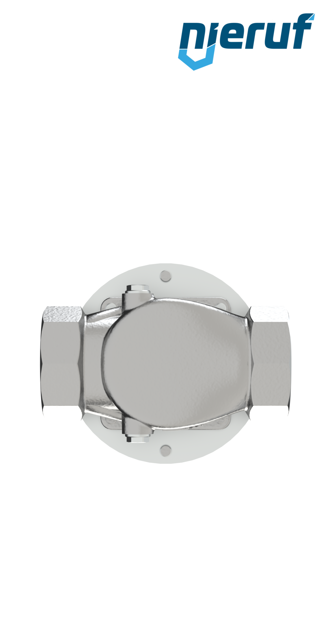 riduttore di pressione-bassa pressione 2" pollici DM21 acciaio inossidabile PTFE / EPDM / FEPM 0.3 - 2.0 bar
