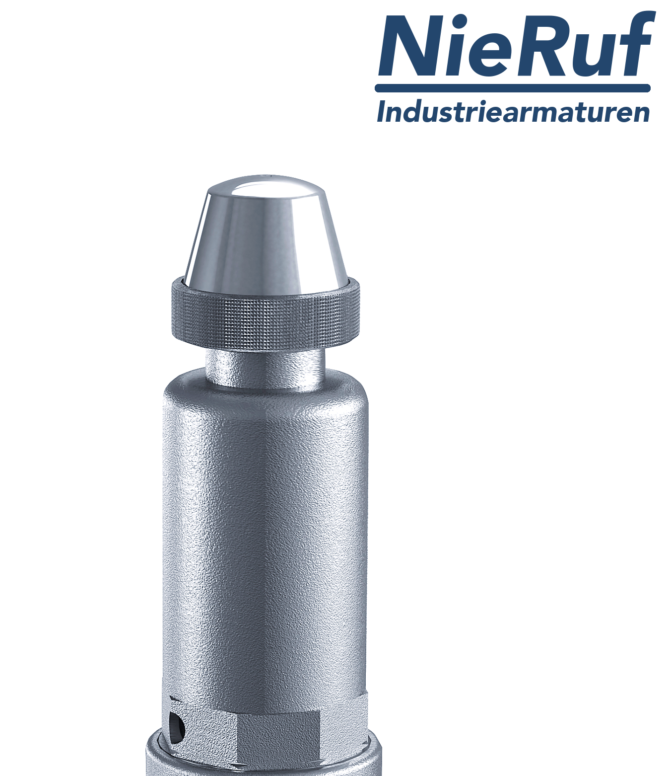 valvola di sicurezza 1/2" x 1" F SV09 fluidi gassosi neutri, acciaio inox NBR
