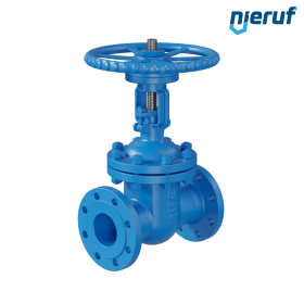 Valvola a saracinesca a corpo ovale in acciaio 1.0619+N AS02 DN80 PN25